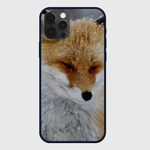 Чехол iPhone 12 Pro Лис в снегу / 3D-Черный – фото 1