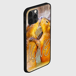 Чехол для iPhone 12 Pro Влюблённые капибары, цвет: 3D-черный — фото 2