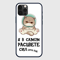 Чехол iPhone 12 Pro Я в самом расцвете сил