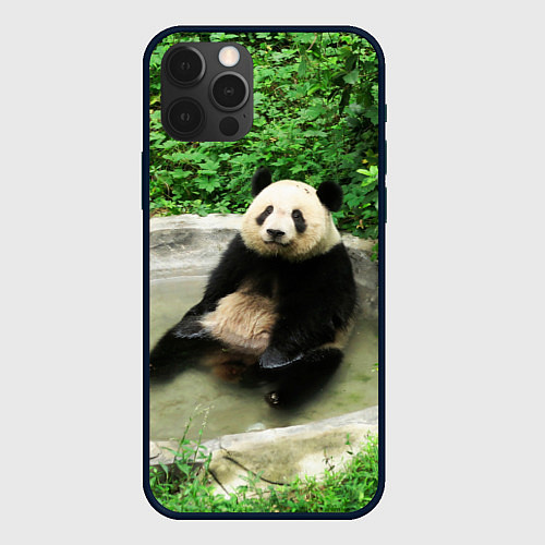 Чехол iPhone 12 Pro Панда отдыхает в ванной / 3D-Черный – фото 1