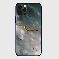 Чехол iPhone 12 Pro Абстрактный серо-белый туман и золотая краска