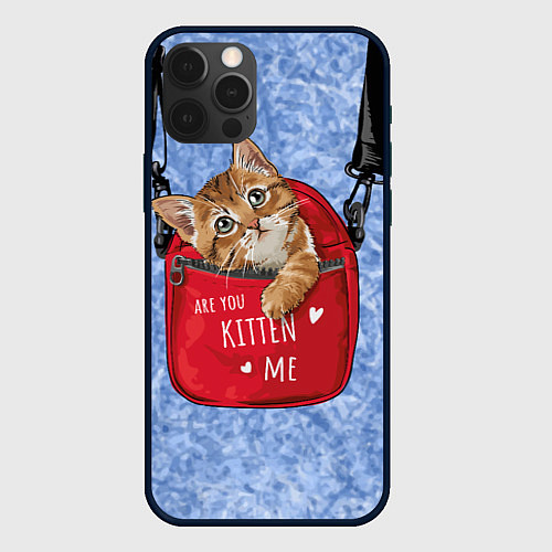 Чехол iPhone 12 Pro Are you kitten me / 3D-Черный – фото 1