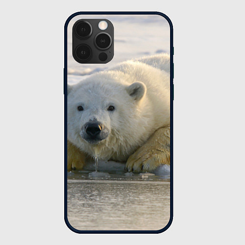 Чехол iPhone 12 Pro Белый медведь ожидает / 3D-Черный – фото 1