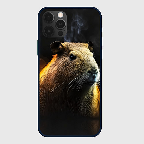 Чехол iPhone 12 Pro Капибара и дым / 3D-Черный – фото 1