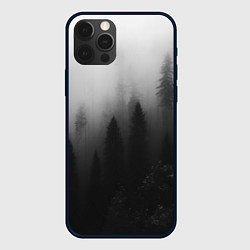 Чехол iPhone 12 Pro Красивый туманный лес