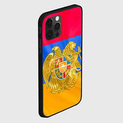 Чехол для iPhone 12 Pro Солнечная Армения, цвет: 3D-черный — фото 2