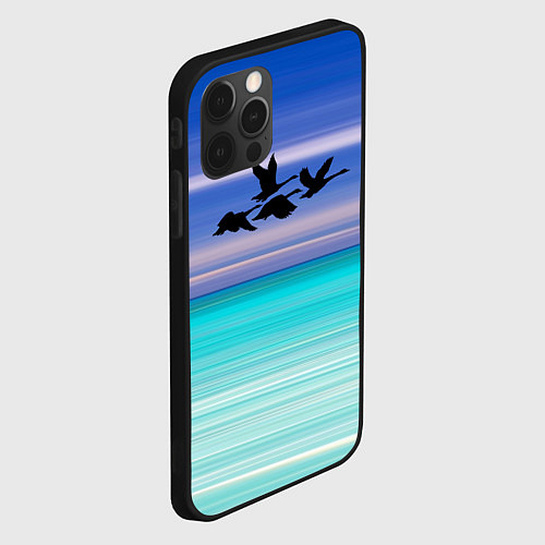 Чехол iPhone 12 Pro Летят лебеди / 3D-Черный – фото 2