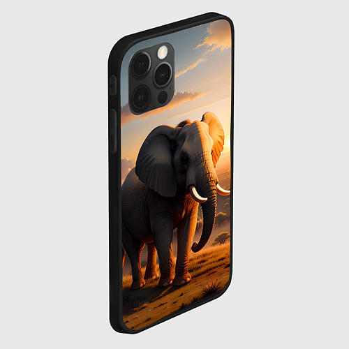 Чехол iPhone 12 Pro Африканский слон в саванне / 3D-Черный – фото 2