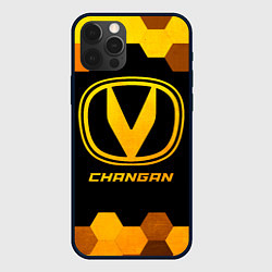 Чехол iPhone 12 Pro Changan - gold gradient