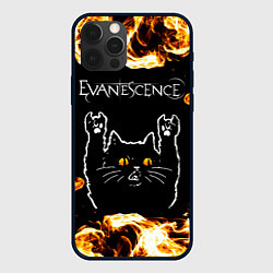 Чехол iPhone 12 Pro Evanescence рок кот и огонь