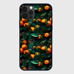 Чехол iPhone 12 Pro Яркие апельсины