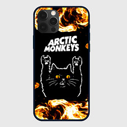 Чехол iPhone 12 Pro Arctic Monkeys рок кот и огонь