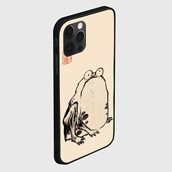 Чехол для iPhone 12 Pro Лягушка - Ито Джакучу, цвет: 3D-черный — фото 2