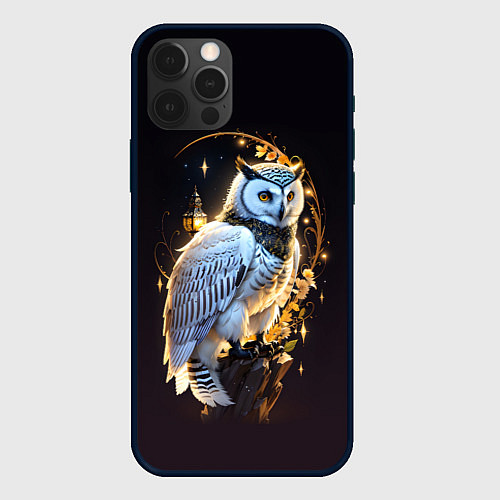Чехол iPhone 12 Pro Снежная сова / 3D-Черный – фото 1