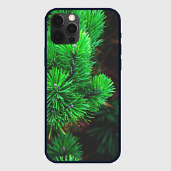 Чехол iPhone 12 Pro Зелёный лес России