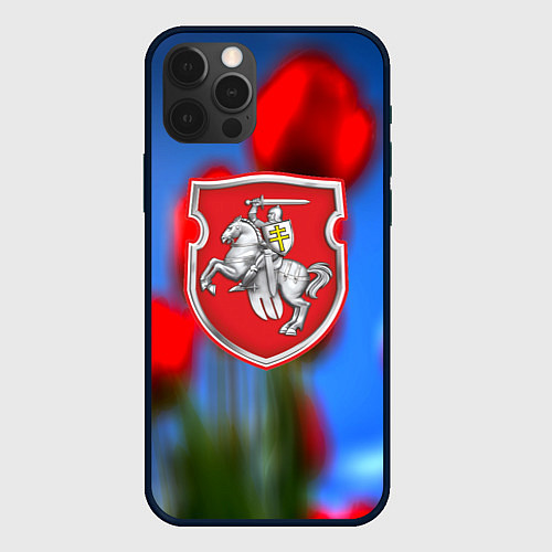 Чехол iPhone 12 Pro Belarus summer / 3D-Черный – фото 1