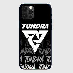 Чехол iPhone 12 Pro Tundra style