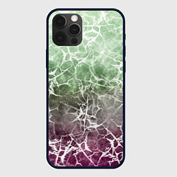 Чехол iPhone 12 Pro Абстракция - spider web on purple-green background