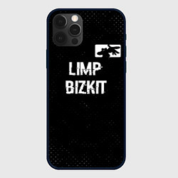 Чехол iPhone 12 Pro Limp Bizkit glitch на темном фоне посередине