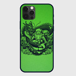 Чехол для iPhone 12 Pro Дракон и Дед Мороз азиат, цвет: 3D-черный