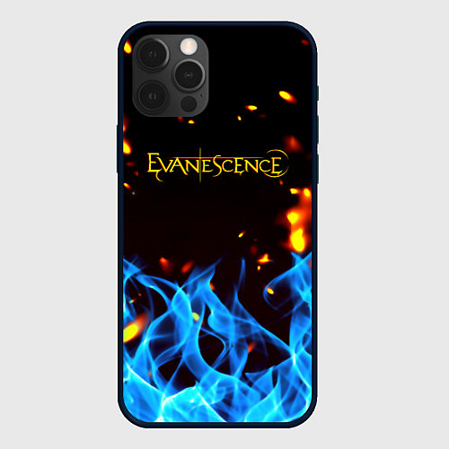 Чехол iPhone 12 Pro Evanescence огонь рок группа / 3D-Черный – фото 1