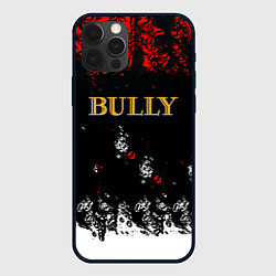 Чехол для iPhone 12 Pro Bully краски, цвет: 3D-черный