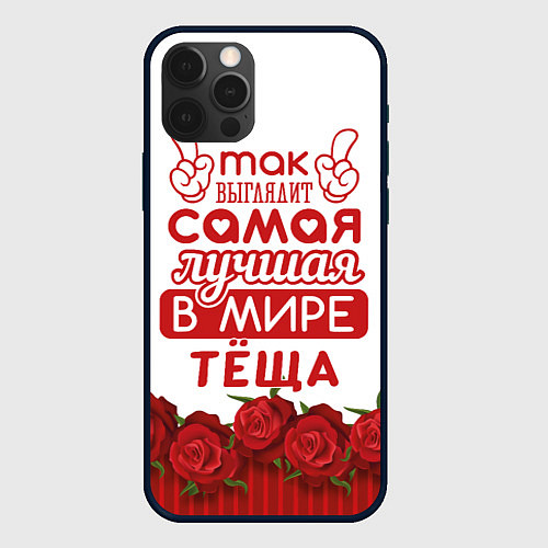 Чехол iPhone 12 Pro Самая лучшая в мире тёща / 3D-Черный – фото 1