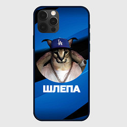 Чехол iPhone 12 Pro Шлепа в бейсболке