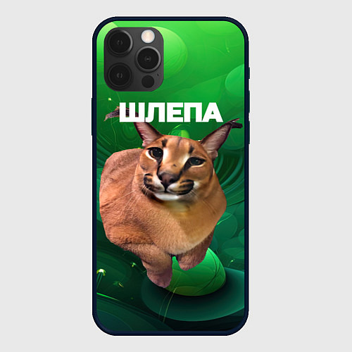 Чехол iPhone 12 Pro Довольный кот Шлепа / 3D-Черный – фото 1