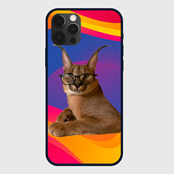 Чехол iPhone 12 Pro Мем кот Шлепа