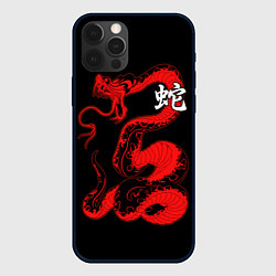 Чехол для iPhone 12 Pro Змей - китайский иероглиф, цвет: 3D-черный