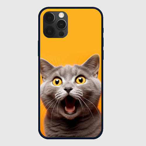 Чехол iPhone 12 Pro Удивленный кот / 3D-Черный – фото 1