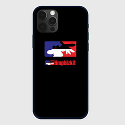 Чехол для iPhone 12 Pro Limp Bizkit logo brend, цвет: 3D-черный