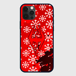 Чехол iPhone 12 Pro Elder Scrolls winter steel