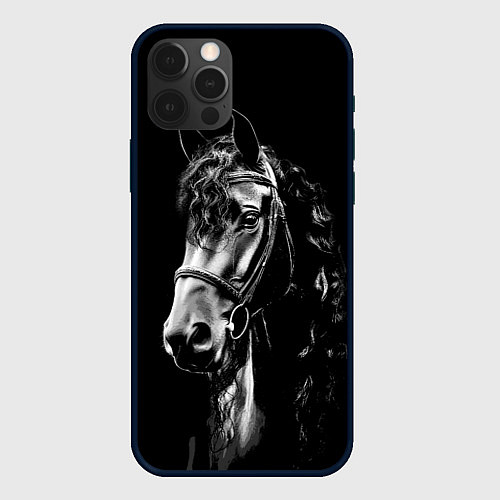 Чехол iPhone 12 Pro Конь вороной кудрявый / 3D-Черный – фото 1