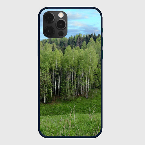 Чехол iPhone 12 Pro Природа России молодые березки / 3D-Черный – фото 1