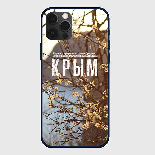 Чехол iPhone 12 Pro Курорт Крым / 3D-Черный – фото 1