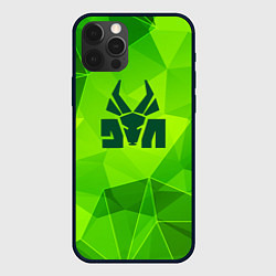 Чехол iPhone 12 Pro Die Antwoord green poly