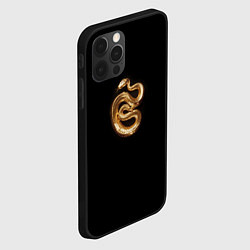 Чехол для iPhone 12 Pro Золотая змея символ 2025 года, цвет: 3D-черный — фото 2