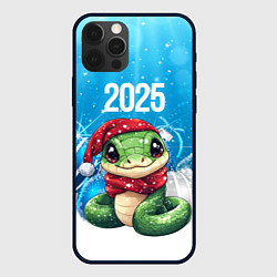 Чехол для iPhone 12 Pro Змея новогодняя 2025, цвет: 3D-черный