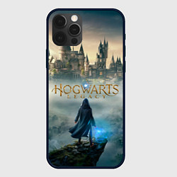Чехол iPhone 12 Pro Герой Hogwarts legacy