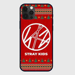 Чехол для iPhone 12 Pro Stray Kids new year, цвет: 3D-черный