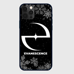 Чехол iPhone 12 Pro Снежный Evanescence