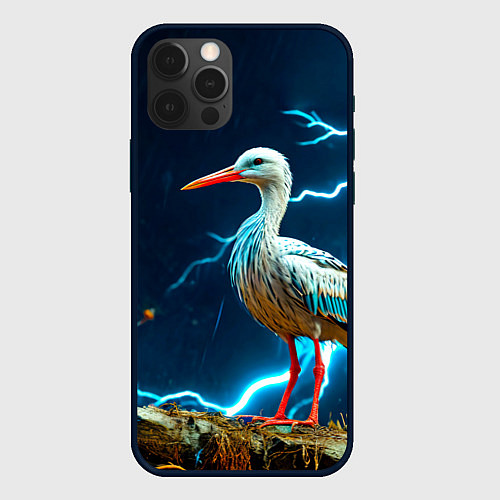 Чехол iPhone 12 Pro Аист и гроза / 3D-Черный – фото 1