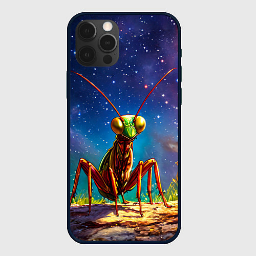 Чехол iPhone 12 Pro Богомол и звездное небо / 3D-Черный – фото 1