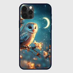 Чехол iPhone 12 Pro Сова и звездное небо
