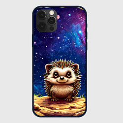 Чехол iPhone 12 Pro Ежик и звездное небо