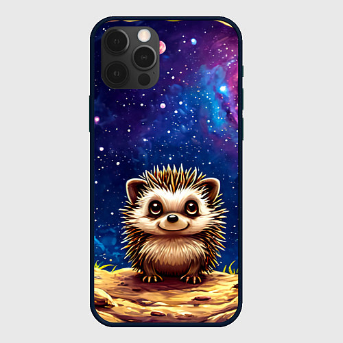 Чехол iPhone 12 Pro Ежик и звездное небо / 3D-Черный – фото 1
