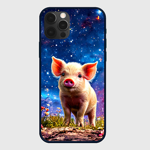 Чехол iPhone 12 Pro Поросенок и звездное небо / 3D-Черный – фото 1