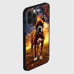 Чехол для iPhone 12 Pro Немецкий боксер и звездное небо, цвет: 3D-черный — фото 2